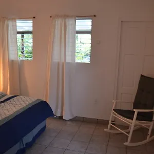 Appartement Palm Trees